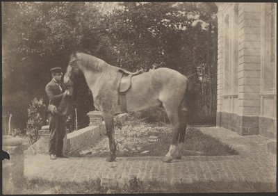 [Cavalo e Homem]. de Unknown artist