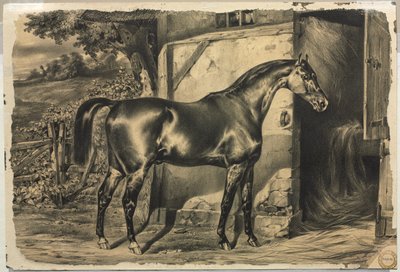 Cavalo na frente de um celeiro (verso) de Unknown artist