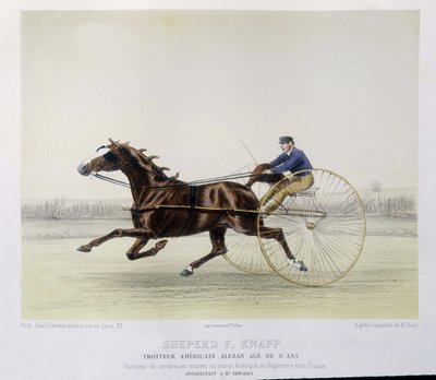 Andar a cavalo: Shepherd F. Knapp, trotter - em "o centauro". de Unknown artist