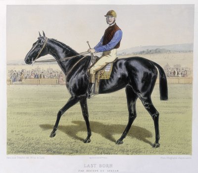 Andar a cavalo: Último nascimento - em "the Centaure". de Unknown artist