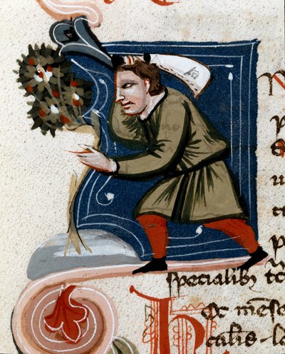 Horticultura: plantar uma árvore. Detalhe. Página manuscrita (MS.s.vi) "Trattato di agraria" de Pietro de Crescenzi (Pedra Crescente ou Pedra Crescente) (1233-1320) Século XIV Cesena, Biblioteca Malatestiana de Unknown artist