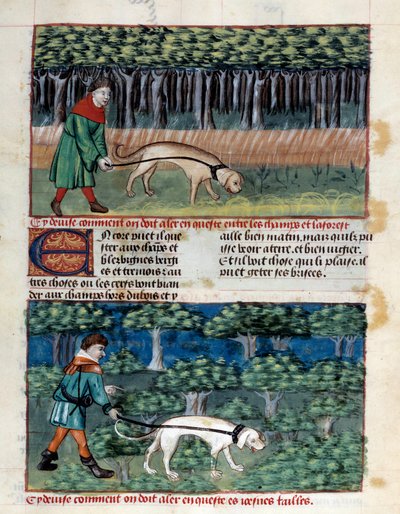 Como conduzir cães Miniatura retirada de "O livro de caça" de Gaston III Phoebus, Conde de Foix, Senhor de Bearn (1331-1391) de Unknown artist