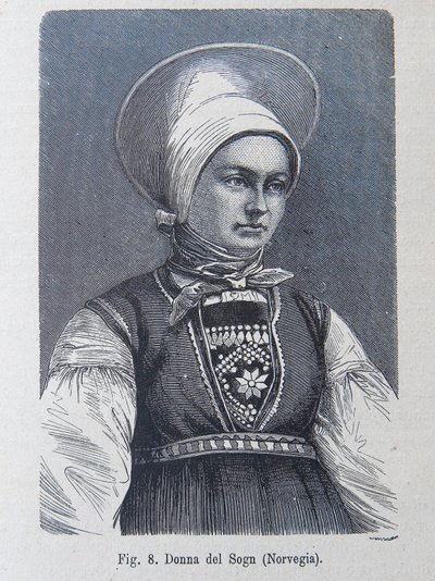 Ilustração de "A raça humana" de Louis Figuier de Unknown artist