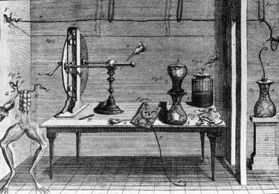 Ilustração de experiências de Luigi Galvani, físico e médico italiano (1737 - 1798) explicando a passagem de corrente elétrica movendo as pernas de um sapo. de Unknown artist