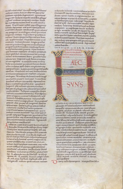 Incipit do Livro do Deuteronómio, Capulettera com a inscrição Haec sun, século XI (miniatura, manuscrito membranoso) de Unknown artist