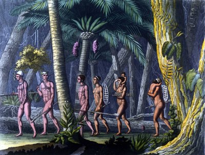 Índios Puris na floresta (Brasil) - em "Le costume ancien et moderne" de Ferrario, ed. Milan de Unknown artist