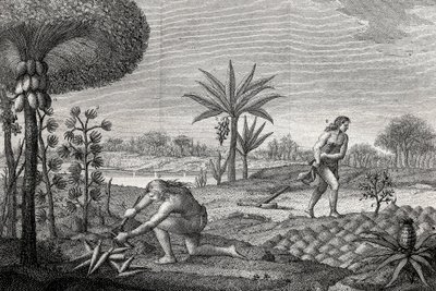 Indígenas que trabalham a terra na bacia do Orenoque, na Colômbia. Gravura de 1780 de Unknown artist