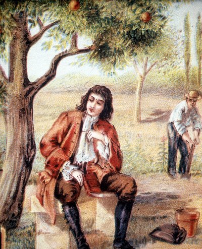 Isaac Newton (1642-1727), matemático, físico e astrônomo inglês, encontra a teoria da gravitação ao observar a queda de uma macieira, uma ilustração do século XIX. de Unknown artist