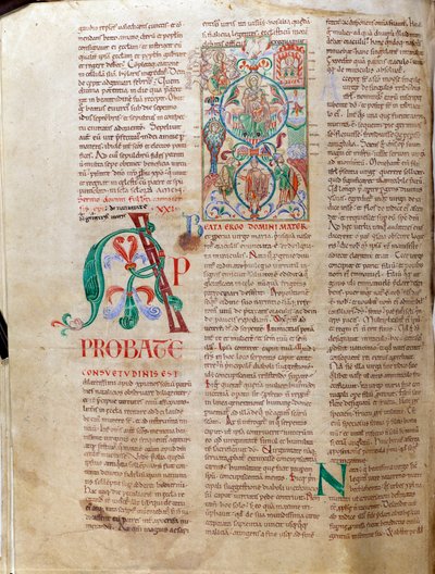 A árvore do Jesse. Manuscrito em miniatura "Lectiaire de Citeaux de Unknown artist