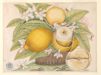 Limões e flores de limão em uma cesta de Unknown artist