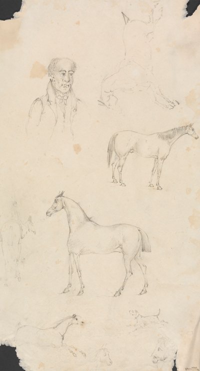 Homem, Cavalos e Cães de Unknown artist