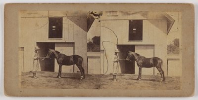[Homem a segurar o cavalo pelo freio]. de Unknown artist