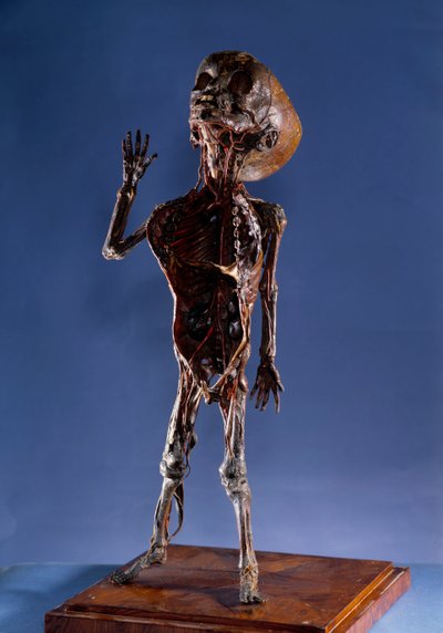 Medicina: descasque a estatueta. Colecção privada do século XVIII de Unknown artist