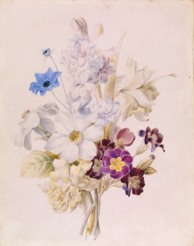 Narciso e outras flores de Unknown artist