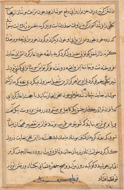 Página de Tales of a Parrot (Tuti-nama): página de texto de Unknown artist