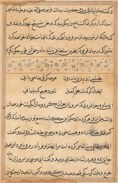 Página de Tales of a Parrot (Tuti-nama): página de texto de Unknown artist