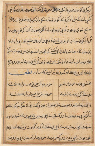 Página de Tales of a Parrot (Tuti-nama): página de texto de Unknown artist