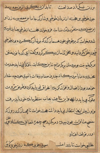Página de Tales of a Parrot (Tuti-nama): página de texto de Unknown artist