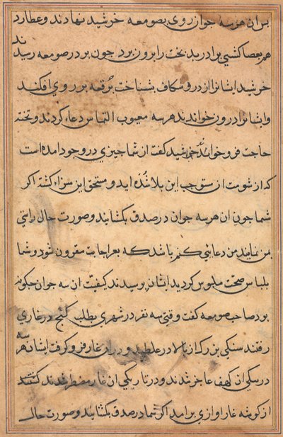 Página de Tales of a Parrot (Tuti-nama): página de texto de Unknown artist