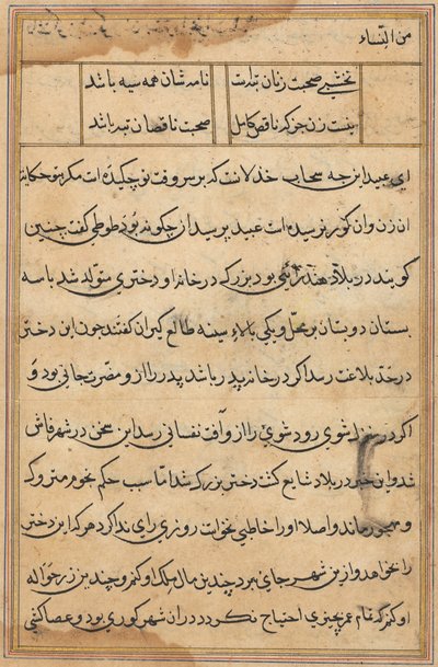 Página de Tales of a Parrot (Tuti-nama): página de texto de Unknown artist