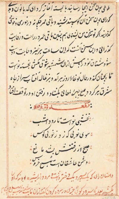 Página de Tales of a Parrot (Tuti-nama): página de texto de Unknown artist