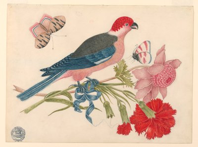 Pássaro rosa, vermelho, azul e preto no galho com flores e borboletas de Unknown artist