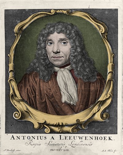 Retrato de Antonie Van Leeuwenhoek ou Anton van Leeuwenhoek, ou Leeuvenhoek, ou Leeuwenhoeck. Naturalista holandês (1632-1723). gravura de 1722. de Unknown artist