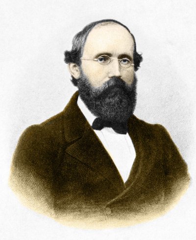 Retrato de Bernhard Riemann (1826-1866.) matemático alemão de Unknown artist