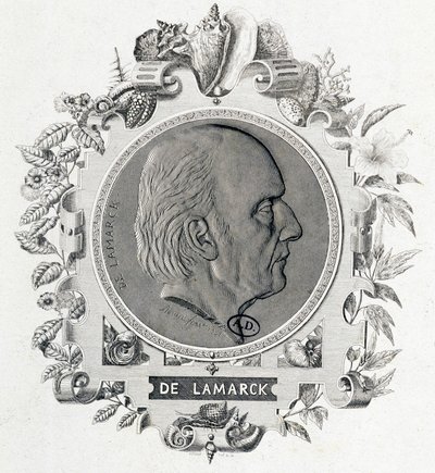 Retrato de Jean Baptiste Lamarck - gravura de Unknown artist