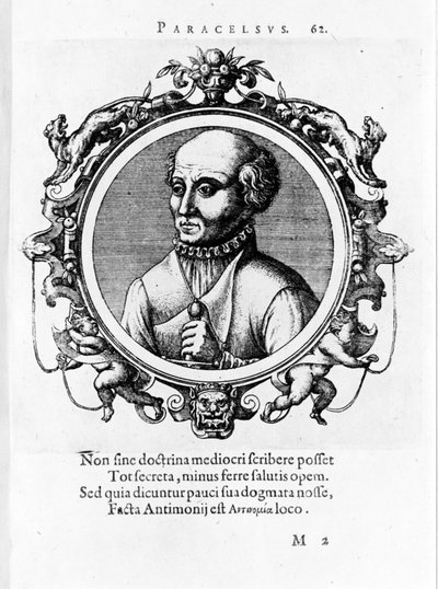 Retrato de Philipp Aureolus Theophrastus Bombastus von Hohenheim Paracelsus de Unknown artist