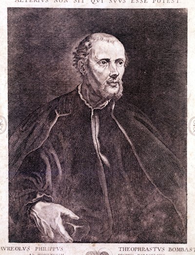 Retrato de Philipp Aureolus Theophrastus Bombastus von Hohenheim Paracelsus de Unknown artist