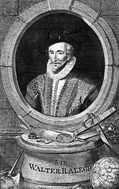 Retrato de Sir Walter Raleigh (1554 - 1618), navegador e escritor cortesão inglês. Gravura do século XVIII. de Unknown artist