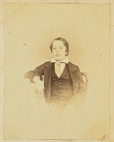 [Retrato de um jovem rapaz]. de Unknown artist