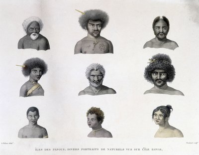 Retratos da Papua da Ilha Rawak. de Unknown artist