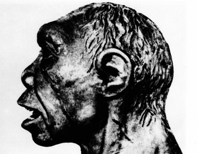 Pré-história: Reencenação do homem de Broken Hill (cara de perfil), de acordo com Schultz. de Unknown artist