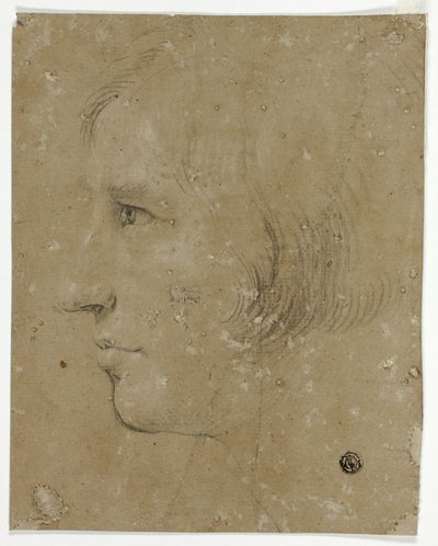Perfil da Cabeça Masculina para a Esquerda de Unknown artist