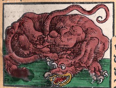 Representação de um dragão. Gravura de "Den Edlen Strengthen Besten Fromen", de Johann Stumpff. 1550 de Unknown artist