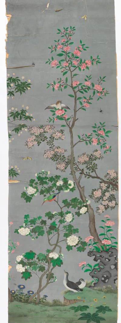 Cênica de Unknown artist