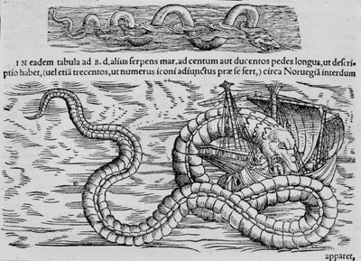 Cobra marinha, criatura marinha depois de Conrad (= Konrad) Gesner de Unknown artist