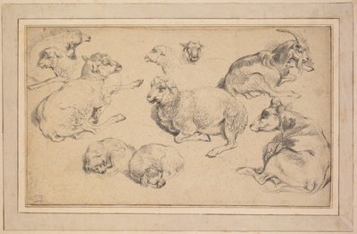 Folha de estudos com ovelhas, cabras e cães de Unknown artist
