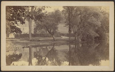 [Lagoa de Silverspring] de Unknown artist
