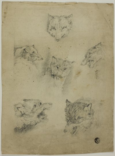 Seis esboços de cabeças de lobo de Unknown artist