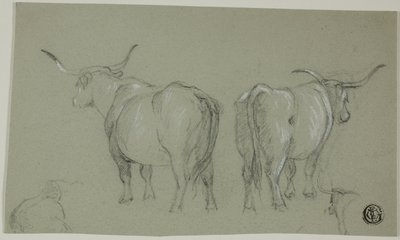Esboços de gado branco da Maremma de Unknown artist