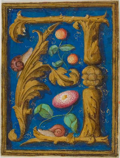 Caracóis, morangos e uma flor numa inicial "A" decorada de um manuscrito de Unknown artist