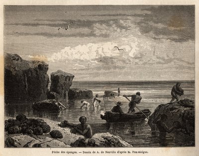 Pesca de esponja pelos ilhéus da ilha de Anastasia, uma maree baixa, mulheres e crianças se juntam entre as rochas e os homens embarcam em canoas para mergulhar e recuperá-las no fundo do mar. Gravura para ilustrar a história de quatro meses na Flórida, po de Unknown artist