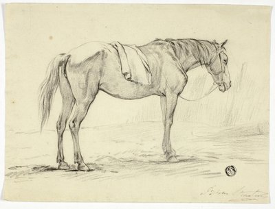 Cavalo de pé de Unknown artist