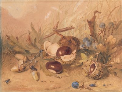 Natureza Morta com Bolotas e Castanhas de Cavalo de Unknown artist