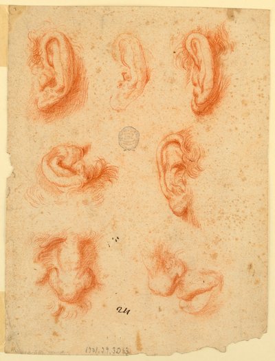 Estudos de cinco orelhas, narizes e uma boca de Unknown artist
