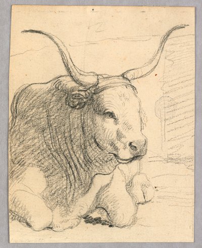 Estudo: uma vaca deitada de Unknown artist