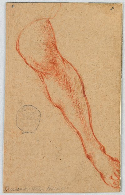 Estudo da perna esquerda de uma mulher sentada de Unknown artist